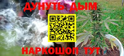 PSILOCYBIN Можга