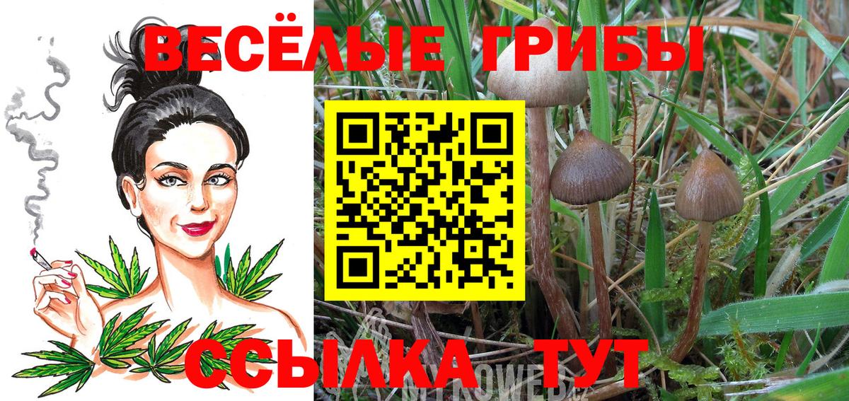 Галлюциногенные грибы MAGIC MUSHROOMS Азов