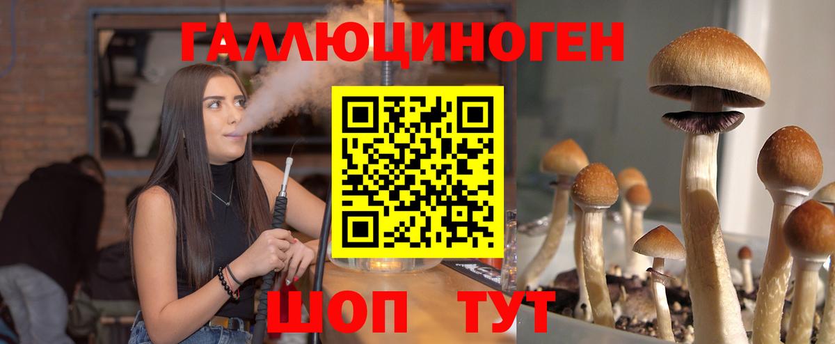 Псилоцибиновые грибы Psilocybine cubensis  Псилоцибиновые грибы ЛСД  Вход с VPN  что такое наркотик  Азов 